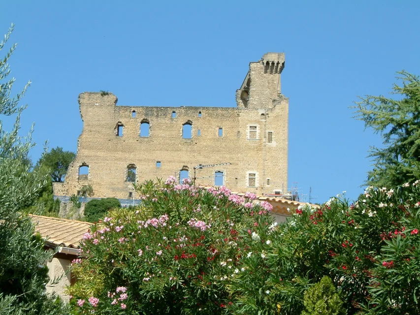 Vue de Chateauneuf du Pape