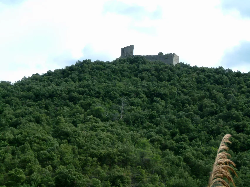 Vue de Château de Fressac