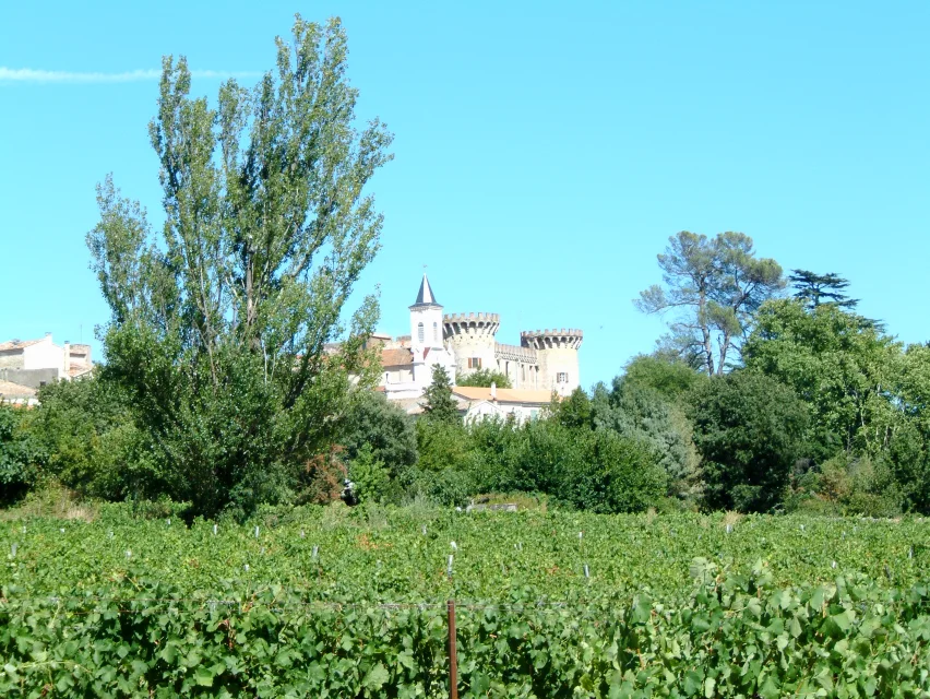 Vue de Saint Victor de Malcap