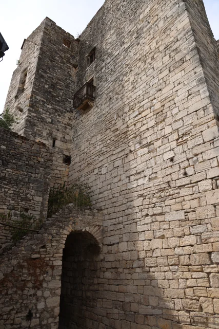 Vue de Château de Montanègre