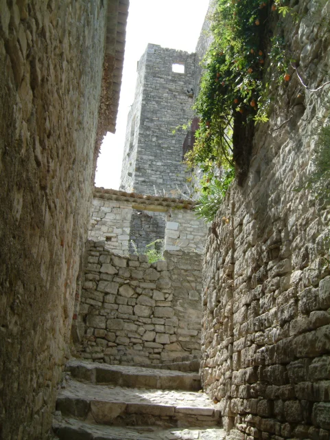 Vue de Château de Montanègre