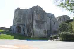 Vue sur Montmajour