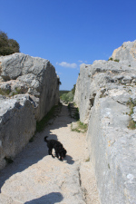 Aqueducs de Barbegal