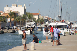 Rentrée des Bateaux de pêche