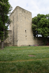 Tour de Narbonne
