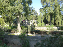 Jardin des plantes