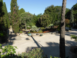 Jardin des plantes