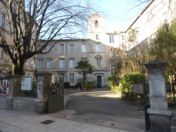 Musée d'Histoire naturelle