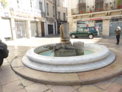 Place du marché, Fontaine au crocodile