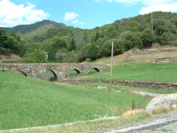 Pont du mas Auric