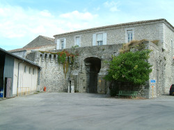 Le Fort