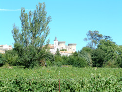 Vue sur l'Église et le château