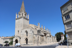 Collégiale royale Sainte-Marthe