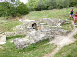 Bassin de régulation